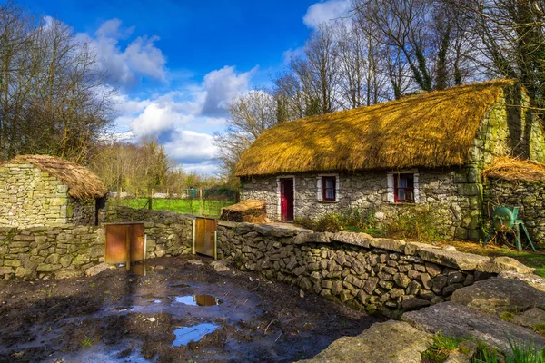 Starý Dům Chata Clare Irsko — Stock fotografie