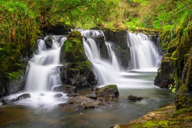Clare Glens İrlanda güzel cascades