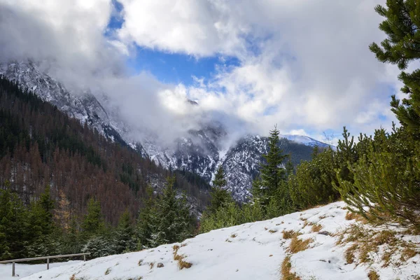 Sendero Invierno Las Montañas Tatra Polonia — Foto de Stock