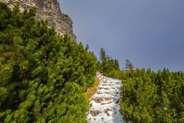 Sentier Hiver Dans Les Montagnes Tatra Pologne — Photo