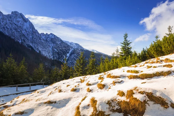 Kış Polonya Tatra Dağları Nın Sahne — Stok fotoğraf