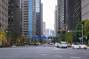 Tokyo, Japonya - 14 Kasım 2016: Tokyo sokakları city, Japonya'nın başkenti. Başkenti ve en kalabalık şehir Japonya Tokyo metropol olduğunu.