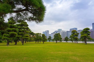 Sahne, Kokyogaien Milli Parkı: Tokyo, Japan