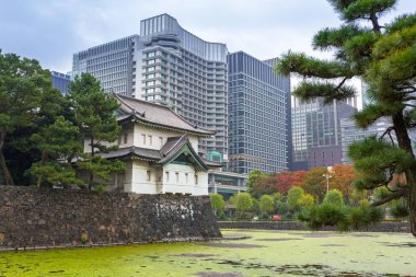 Kokyogaien Park Tokyo, Japonya'da İmparatorluk Sarayı'nın duvarları
