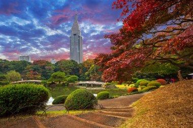 Shinjuku Parkı 'nda sonbahar, Tokyo, Japonya