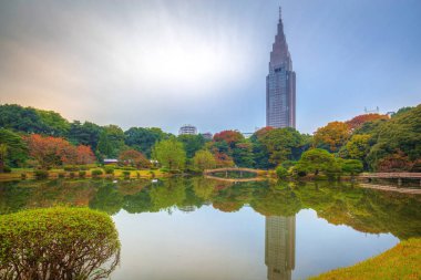 Shinjuku Parkı 'nda sonbahar, Tokyo, Japonya