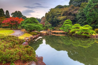 Shinjuku Parkı 'nda sonbahar, Tokyo, Japonya