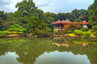 Shinjuku Parkı 'nda sonbahar, Tokyo, Japonya