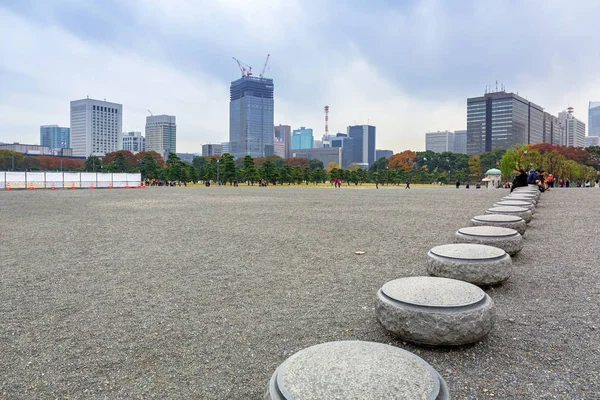 Tokyo Japan November 2016 Mensen Het Park Van Tokio Stad — Stockfoto