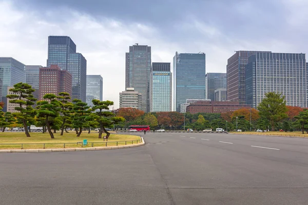 Cityscape Tokyo Kokyogaien Milli Parkı, Japonya
