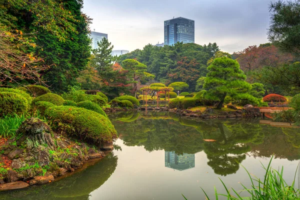 Otoño Parque Shinjuku Tokio Japón — Foto de Stock