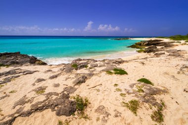 Meksika Karayipler denizde güzel plajı