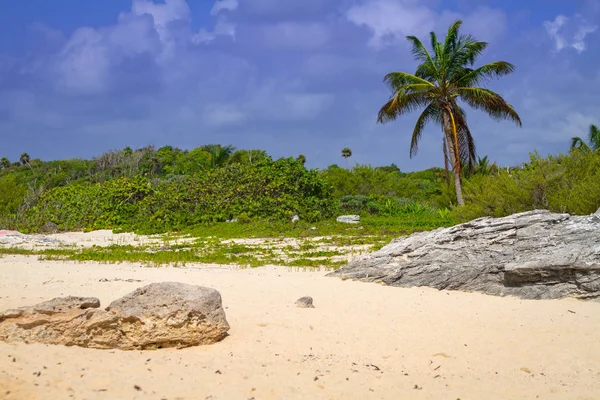 Spiaggia Sul Mare Dei Caraibi Playa Del Carmen Messico — Foto Stock