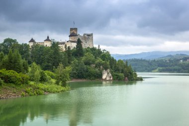 mujer joven con una encantadora sonrisa poses en estudio. emoción. sonrisa