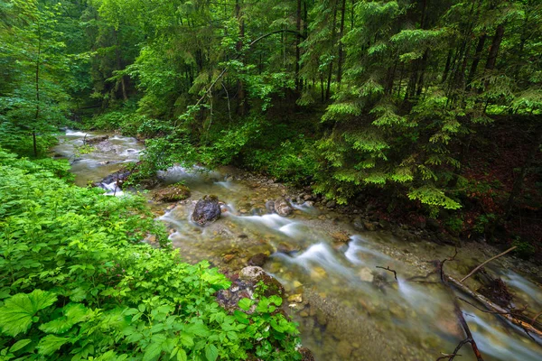 Skalista Creek Tatrach Lecie Polska — Zdjęcie stockowe