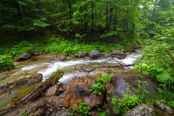Skalista Creek Tatrach Lecie Polska — Zdjęcie stockowe