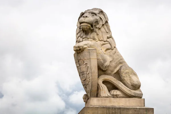 Hlídá Lev Scrupture Královském Hradě Lublin Polsko — Stock fotografie