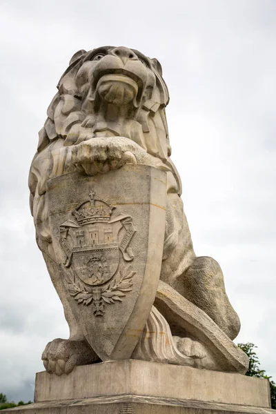 Охоронні Лев Scrupture Королівському Замку Люблін Польща — стокове фото