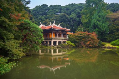 Shinjuku Parkı 'nda sonbahar, Tokyo, Japonya