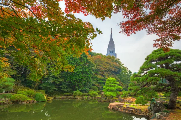 Otoño Parque Shinjuku Tokio Japón — Foto de Stock