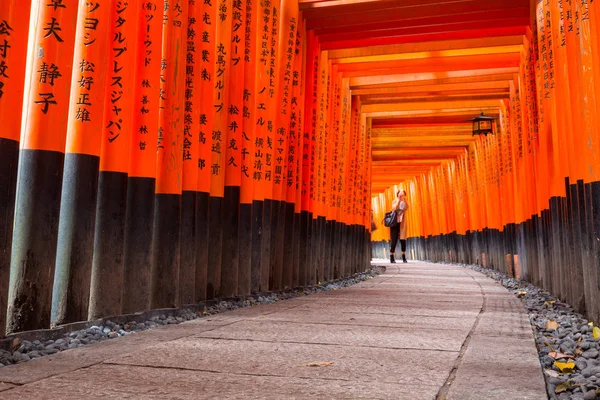 Kyoto Japão Novembro 2016 Caminho Torii Alinhado Com Milhares Torii — Fotografia de Stock