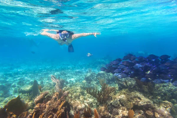 Giovane Donna Che Snorkeling Nell Acqua Tropicale Del Messico — Foto Stock