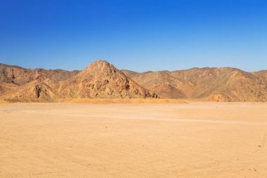 Afrika Mısır çölde toplayan