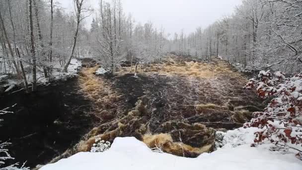 Dzika Rzeka Morrum Mroźną Zimę Szwecja — Wideo stockowe