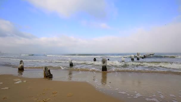 Paisaje Invernal Del Mar Báltico Gdansk Polonia — Vídeo de stock