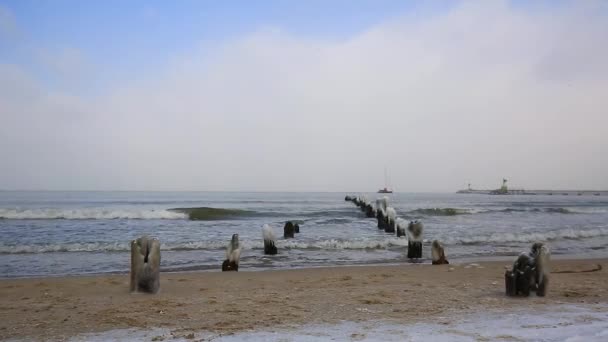 Зимовий Пейзаж Балтійського Моря Гданську Польща — стокове відео