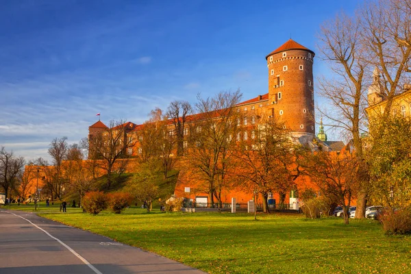 Polonya Nın Vistula Nehri Ndeki Krakow Kraliyet Wawel Kalesi — Stok fotoğraf