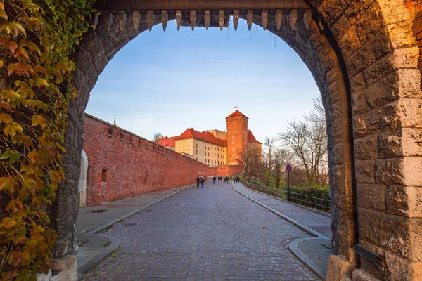 Poort Naar Het Kasteel Wawel Koninklijke Krakau Polen — Stockfoto