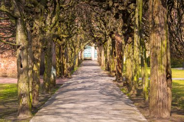Yeşil Bahar park'ın güzel sokakta