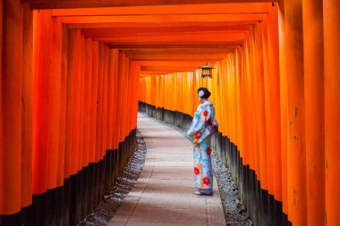 Kadın geleneksel kimono ayakta yakın gates, tünel, Japonya