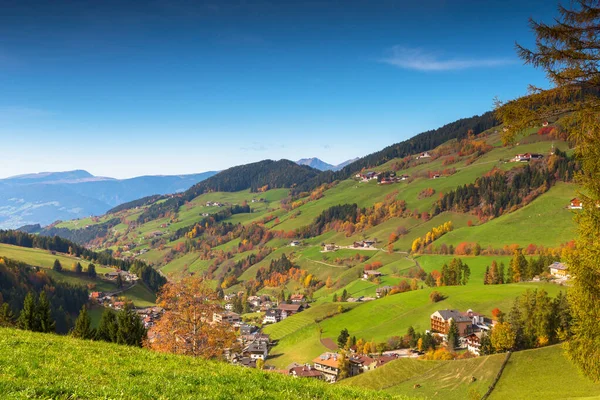 Idylliskt Landskap Byn Santa Maddalena Sydtyrolen Hösten Italien — Stockfoto