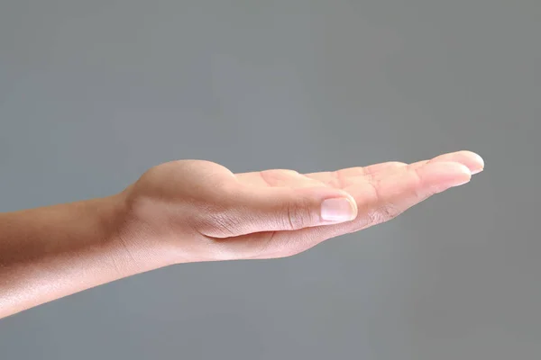 Palmera Femenina Abierta Aislada Sobre Fondo Gris —  Fotos de Stock