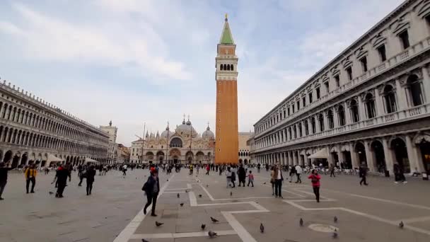 Venise Italie Octobre 2019 Incroyable Architecture Place Piazza San Marco — Video
