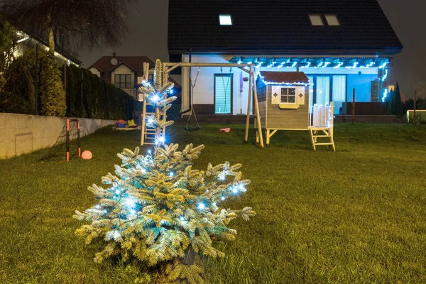 Julgran Upplyst Trädgården Natten — Stockfoto
