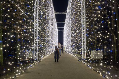 Gdansk, Polonya - 16 Aralık 2019: Polonya 'nın Gdansk kentindeki Park Oliwski' de güzel noel aydınlatması.