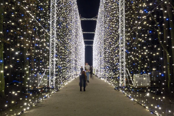 Gdansk Polonia Diciembre 2019 Hermosa Iluminación Navideña Parque Oliwski Gdansk — Foto de Stock