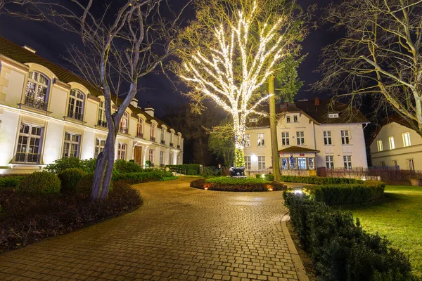 Gdansk Polônia Dezembro 2019 Bela Iluminação Natal Park Oliwski Gdansk — Fotografia de Stock