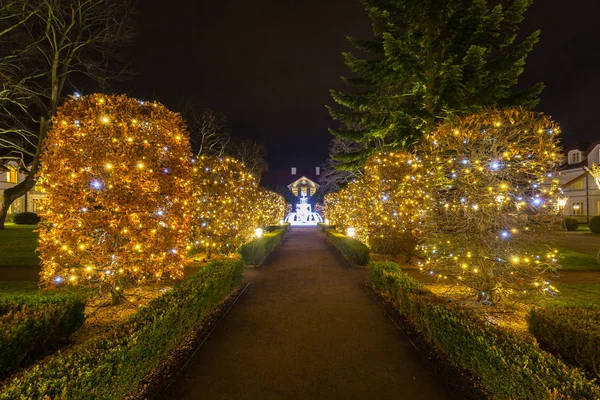 Χριστουγεννιάτικος Φωτισμός Στο Πάρκο Της Πόλης Του Γκντανσκ Πολωνία — Φωτογραφία Αρχείου