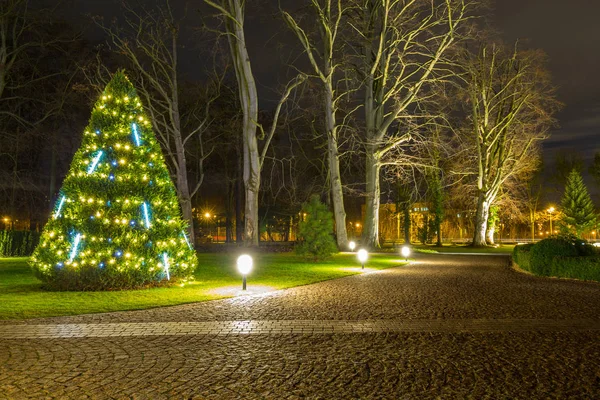 Illuminazione Natalizia Nel Parco Cittadino Danzica Polonia — Foto Stock