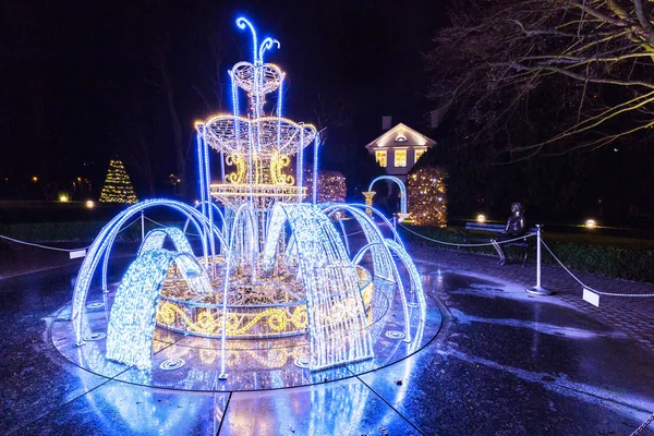 Weihnachtsbeleuchtung Stadtpark Von Danzig Polen — Stockfoto