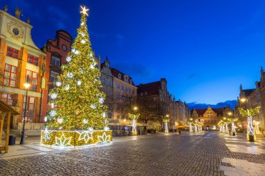 Gdansk, Polonya - 5 Ocak 2020: Polonya 'da ışıklandırılmış Noel ağacı ile Gdansk' ın güzel mimarisi. Gdansk, güzel mimarisi ile Polonya Pomeranya 'nın tarihi başkentidir..