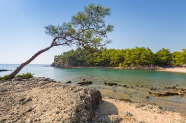 Antik Phaselis şehrinde güzel costline, Türkiye