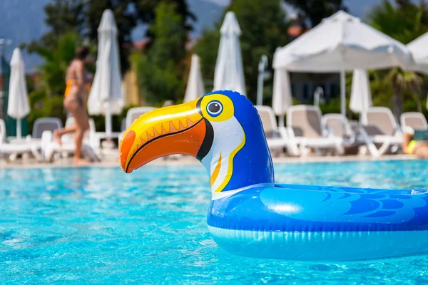 Bague Flottante Vide Forme Toucan Sur Piscine Bleue — Photo