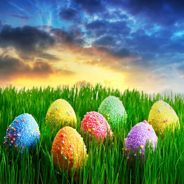 Colorful Easter Eggs Grass Sunset — Stock Photo, Image