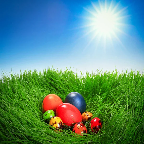 Colorful Easter Eggs Grass — Stock Photo, Image