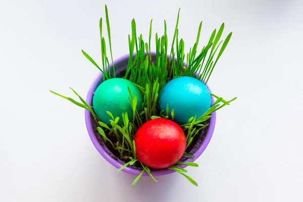 Çimenli Bir Kasede Boyanmış Paskalya Yumurtaları — Stok fotoğraf